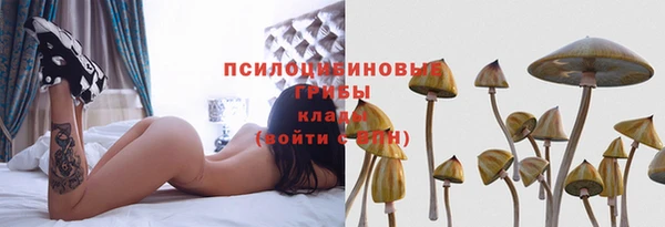 spice Аркадак