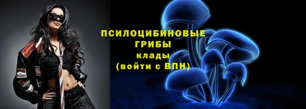 spice Аркадак