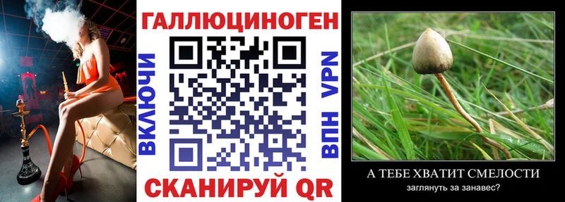 Псилоцибиновые грибы Psilocybe  Могоча 